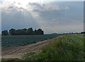 Farmland near the village of Frampton in Kirton and Frampton Ward