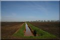 Fenland drain at Farthing Drove in IP28 8EG
