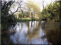 River Allen, Wimborne St Giles in BH21 5NS