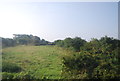 Rough grazing by the railway line in SA71 5NW