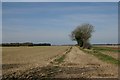 Track to Chalk Farm, Undley in IP27 9BY