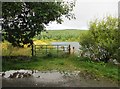 A gate at Loch Ettrick in DG3 5HL