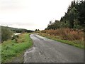 The road beside Loch Ettrick in DG3 5HL