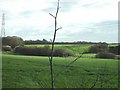 View across farmland in CT1 3EL