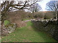 Green lane above Twyn, Crickhowell in Crickhowell Community