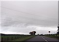 Under the power lines north of Caerau in LL54 6TA