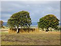 Stacked round bales in PH13 9PN