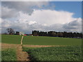 Buildings on edge of Almshoe Bury from Public Footpath 22 in SG4 7NS