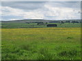 Farmland east of Percy's Cross in NE19 1HD