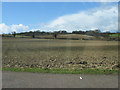 Ploughed Field south of Rush Green in SG4 7PQ