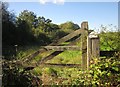 Gate on Cock's Lake Lane in PL12 6RD