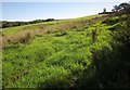 Field above Cock's Lake in PL12 6RD