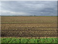 Farmland, Pinchbeck South Fen in PE11 3NA