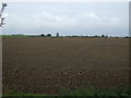 Farmland north of Leaves Lake Drove in PE11 3QG