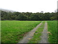 Field and woods by the Newfield Inn, Seathwaite in LA20 6ED