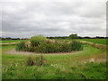 Dry Pond at Lea Newbold in CH3 6EY