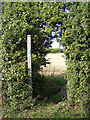 Footpath off Wenham Road in IP8 3EZ