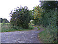 Folly Lane Byway off Wenham Road in IP8 3EZ