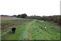 Bridleway by the Mar Dyke in RM16 3NL