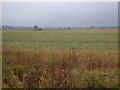 Farmland near Aslackby in NG34 0HN