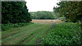 Glimpse of a harvested cereal field in PE8 5BW