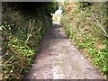 The Old Road from Portwrinkle in PL11 3BY