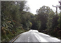 A4085 at Moelydd Bach in LL55 4YN