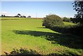 Pasture near Wotton Cross in PL12 5AA