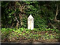 Roadside Milepost in PL11 3EJ