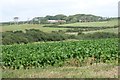 Farmland near Penycwm youth hostel in Brawdy Community