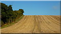 Stubble field in autumn, 1 in B61 9DT