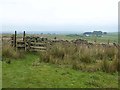 Pennine Way at Longlee Rigg in NE48 3DJ