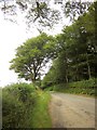 Lane past Ball Copse in EX21 5HZ