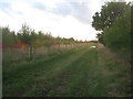 Track alongside a new plantation in LN6 9DY