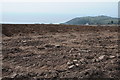 Ploughed field above Pendine in SA33 4PD