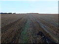 Stubble field, Parkside in AB51 0PL