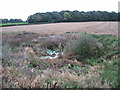 Overgrown pond in stubble field by Round Wood in WA16 0JA