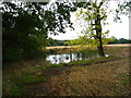 Pond in stubble field in WA16 0JA