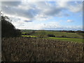 Valley near Cuddington in HP18 0AQ