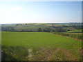 Field above the valley of Trebant Water in PL13 2NY