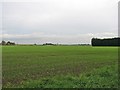 Towards the Great Ouse in PE34 3FL