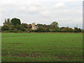 Towards Wiggenhall St Germans church in PE34 3FL