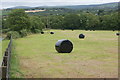 Haylage bales near Priskilly Cross in SA62 5EE