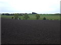 Farmland east of Craigrothie in KY15 5PF