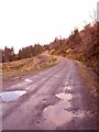Looking NE up forestry track above Loch Linnhe in PH33 6SE
