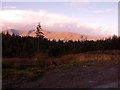 Looking across cleared forestry to Ardgour hills the other side of Loch Linnhe in PH33 6SE