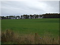 Farmland near Bishop's Wood in KY16 8NY
