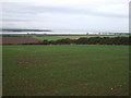 Crop field off High Road, Strathkinness in KY16 9XU