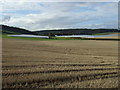Farmland and poly tunnels in Drumoig
