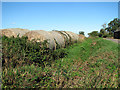 Baled straw beside ditch in NR13 6JZ